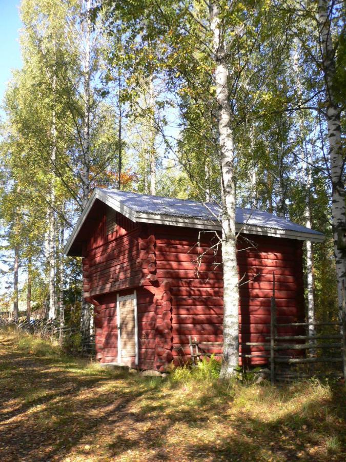 Vanha-Paelsilae Lakeside Farm Kuhmoinen Ngoại thất bức ảnh